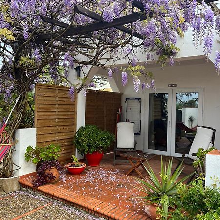 קוניל דה לה פרונטרה Arriba Stijlvol Appartement Met Zwembad En Tuin מראה חיצוני תמונה