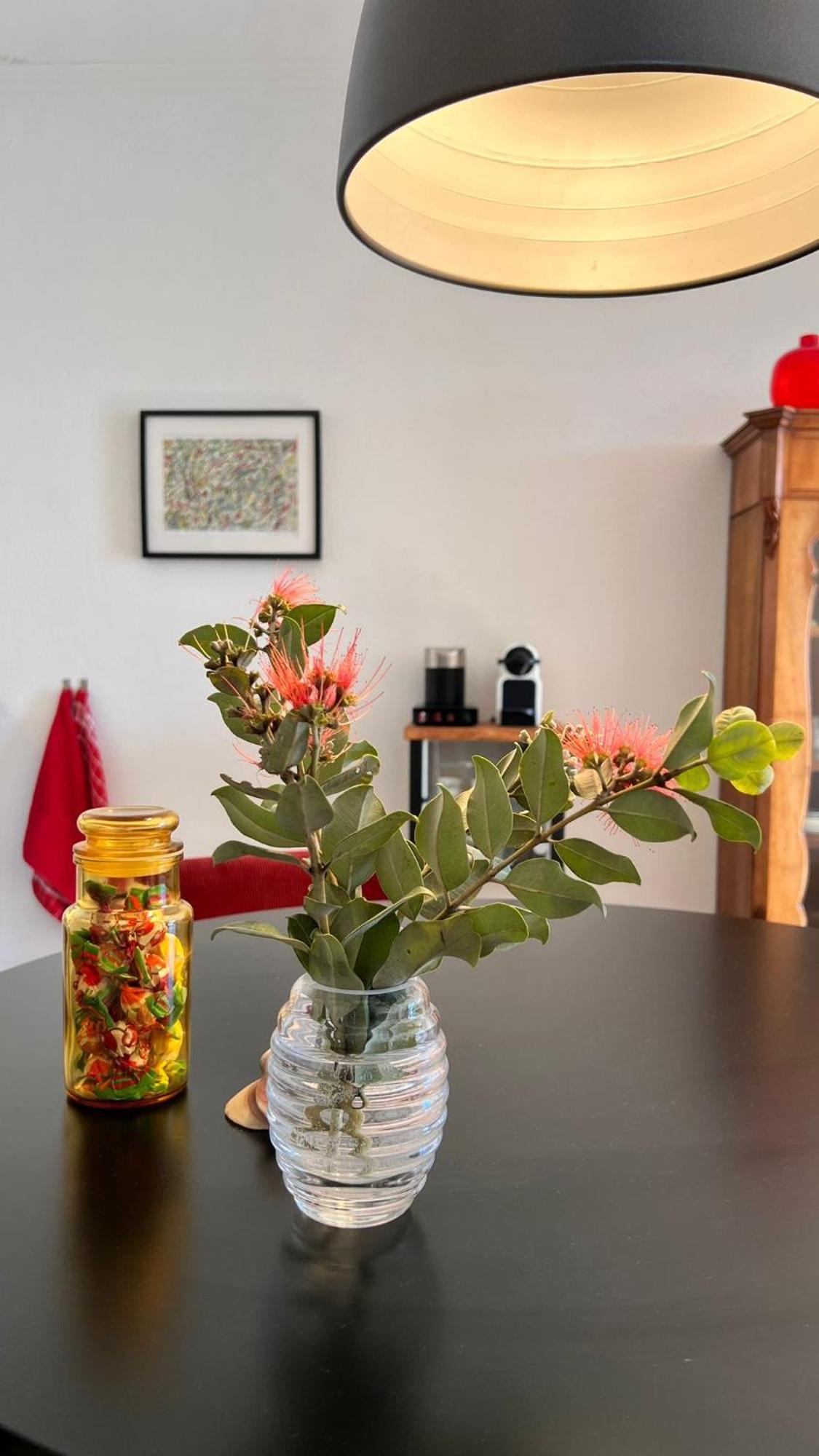 קוניל דה לה פרונטרה Arriba Stijlvol Appartement Met Zwembad En Tuin מראה חיצוני תמונה