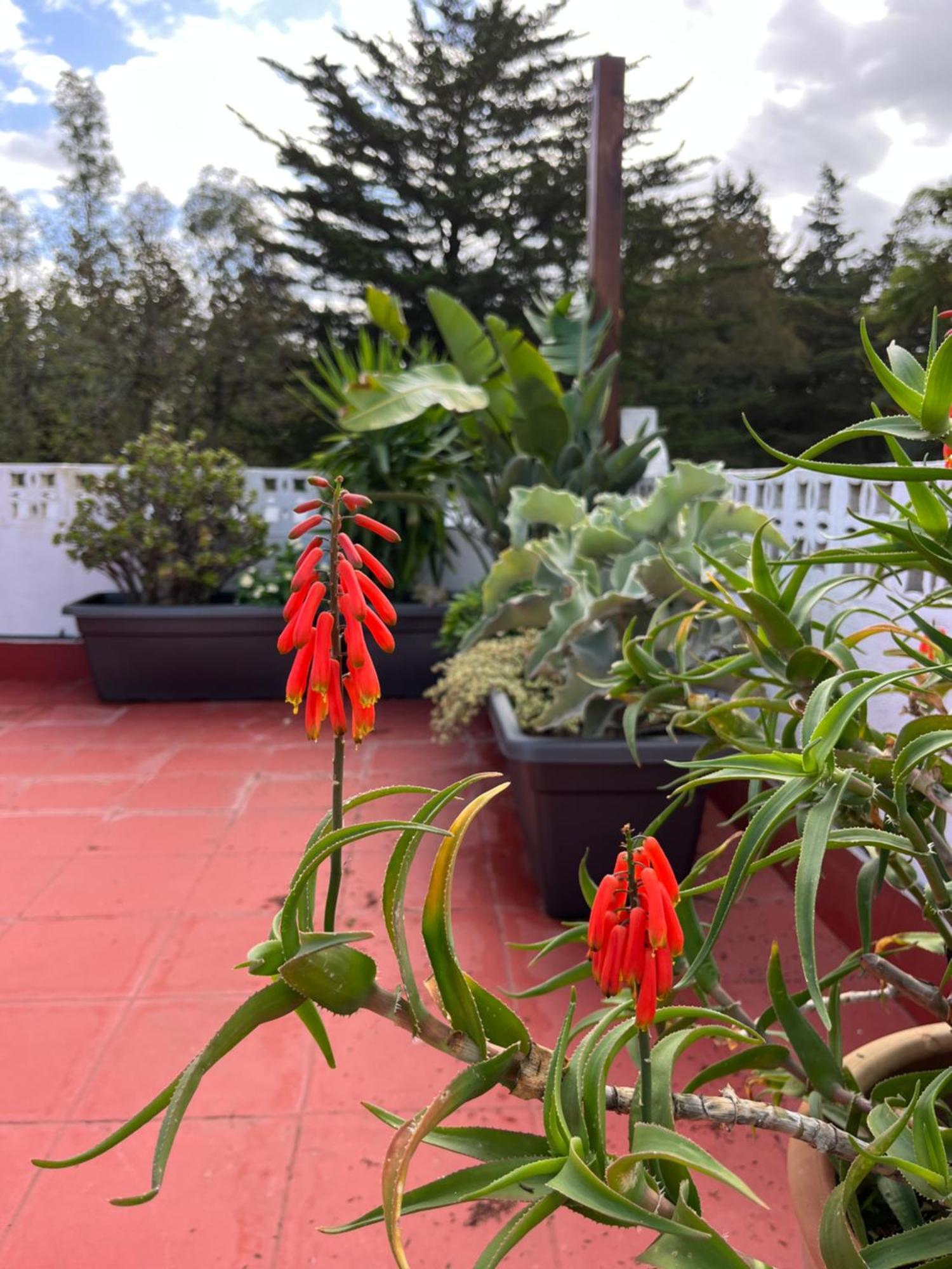 קוניל דה לה פרונטרה Arriba Stijlvol Appartement Met Zwembad En Tuin מראה חיצוני תמונה