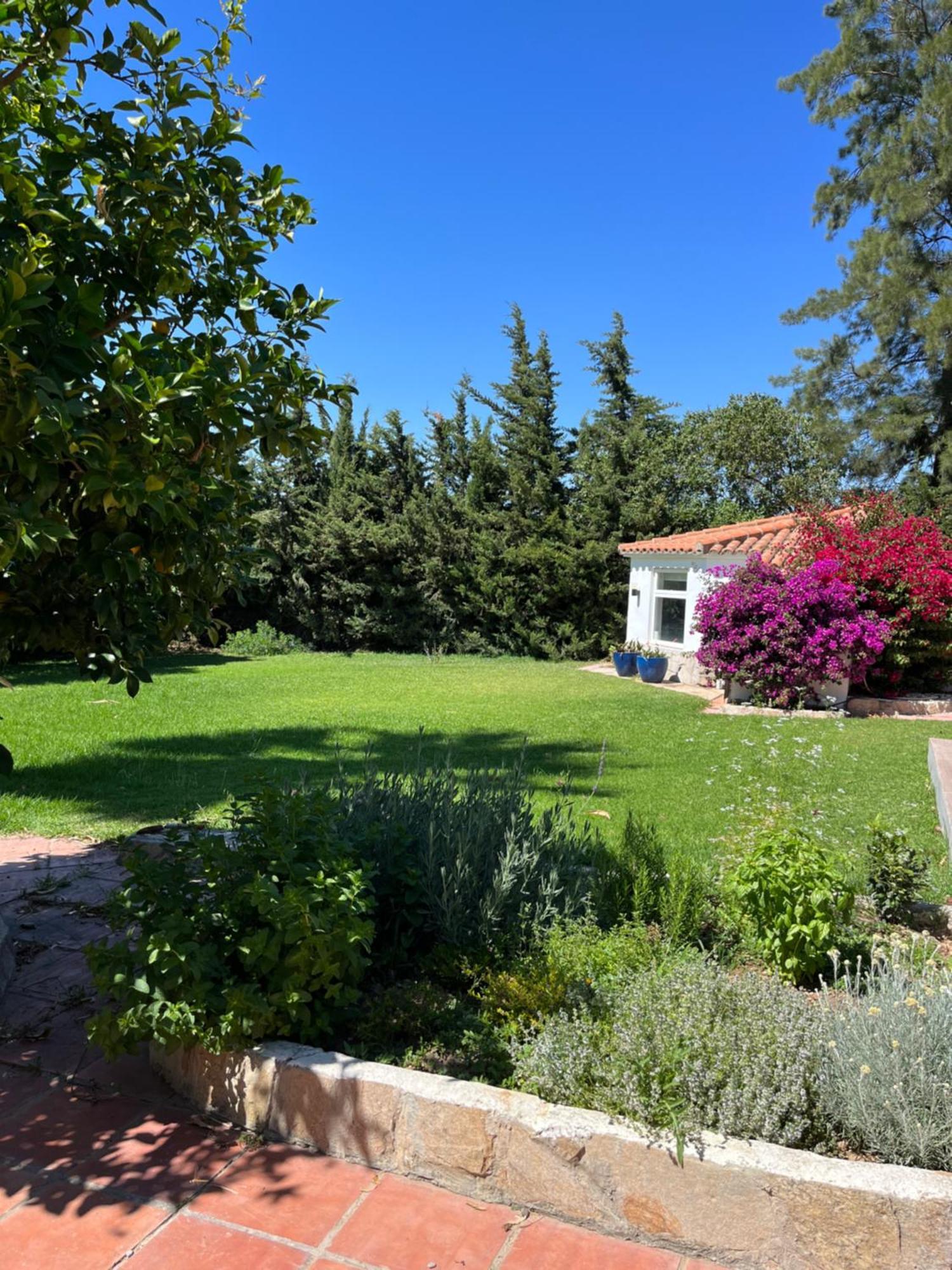 קוניל דה לה פרונטרה Arriba Stijlvol Appartement Met Zwembad En Tuin מראה חיצוני תמונה