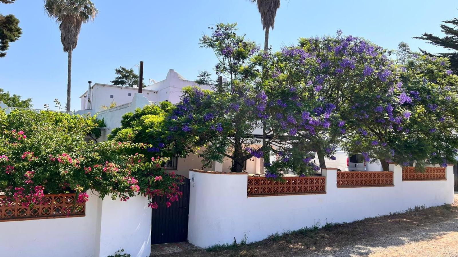 קוניל דה לה פרונטרה Arriba Stijlvol Appartement Met Zwembad En Tuin מראה חיצוני תמונה