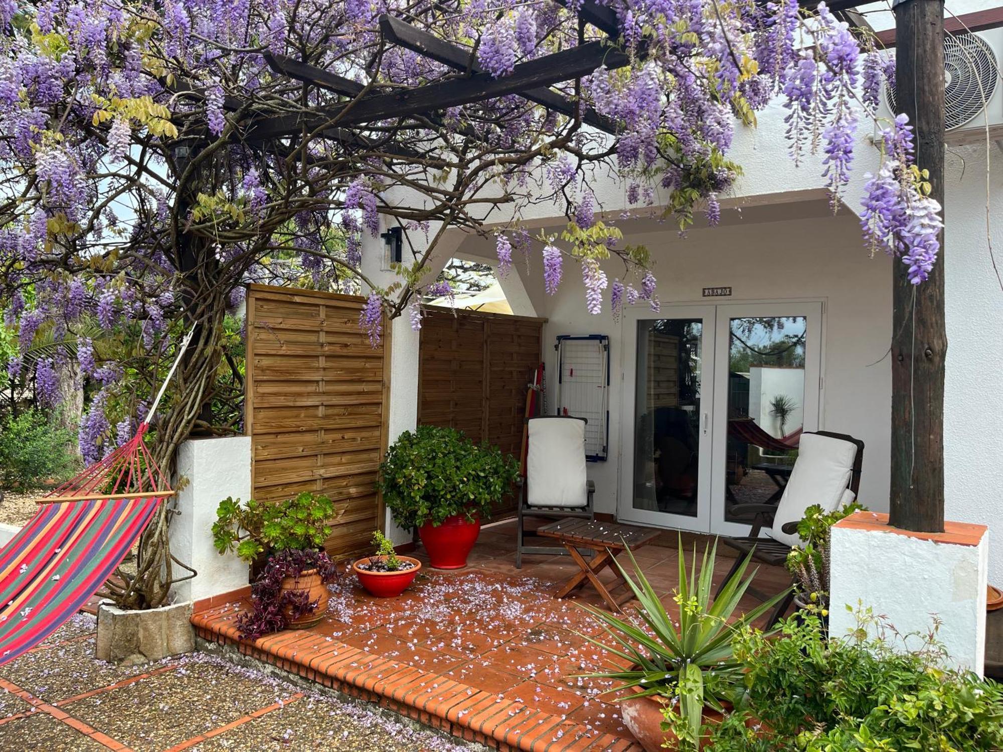 קוניל דה לה פרונטרה Arriba Stijlvol Appartement Met Zwembad En Tuin מראה חיצוני תמונה