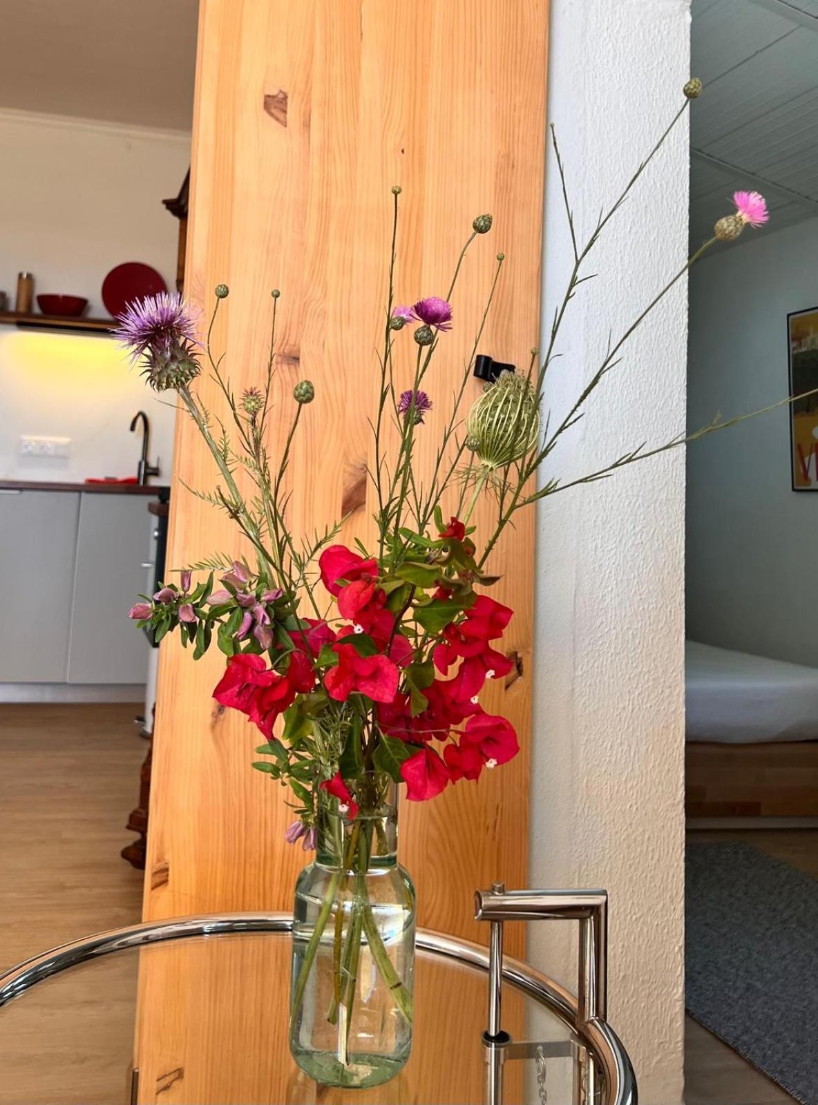 קוניל דה לה פרונטרה Arriba Stijlvol Appartement Met Zwembad En Tuin מראה חיצוני תמונה